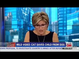 Cat Saves Boy From Dog FULL COMPLETE VIDEO