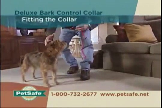 PetSafe Deluxe Bark Control Collar Tips - petsafe.net