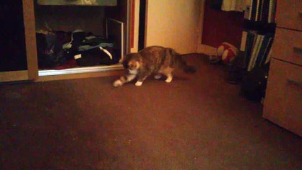 mimi (joue avec un élastique)