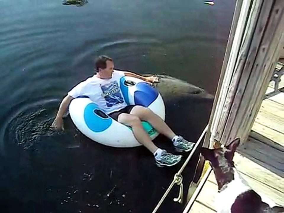 Man Caresses Wild Manatee