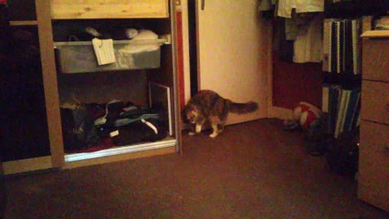 mimi (joue avec un élastique) 2