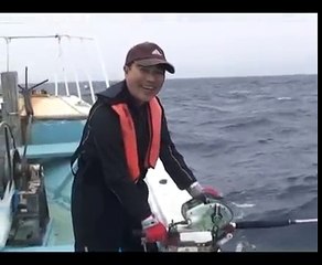 サメに襲われたカンパチの釣り動画