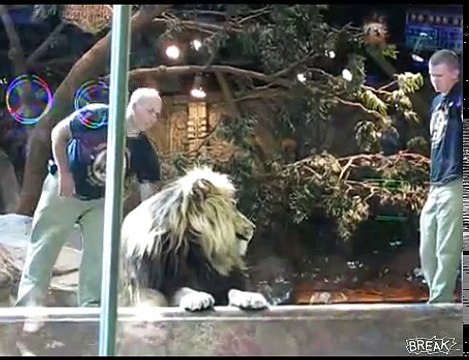 Лев убивает людей