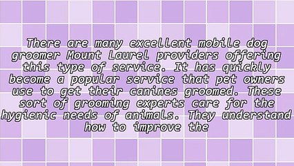 Finding A Mobile Dog Groomer Mount Laurel Service