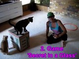 SIX FUNNY games for smart cats