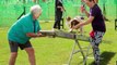 Dog Agility Training at YKC Summer Camp