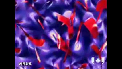 Self-cleaning nano coating - nanotechnology in Canadian news