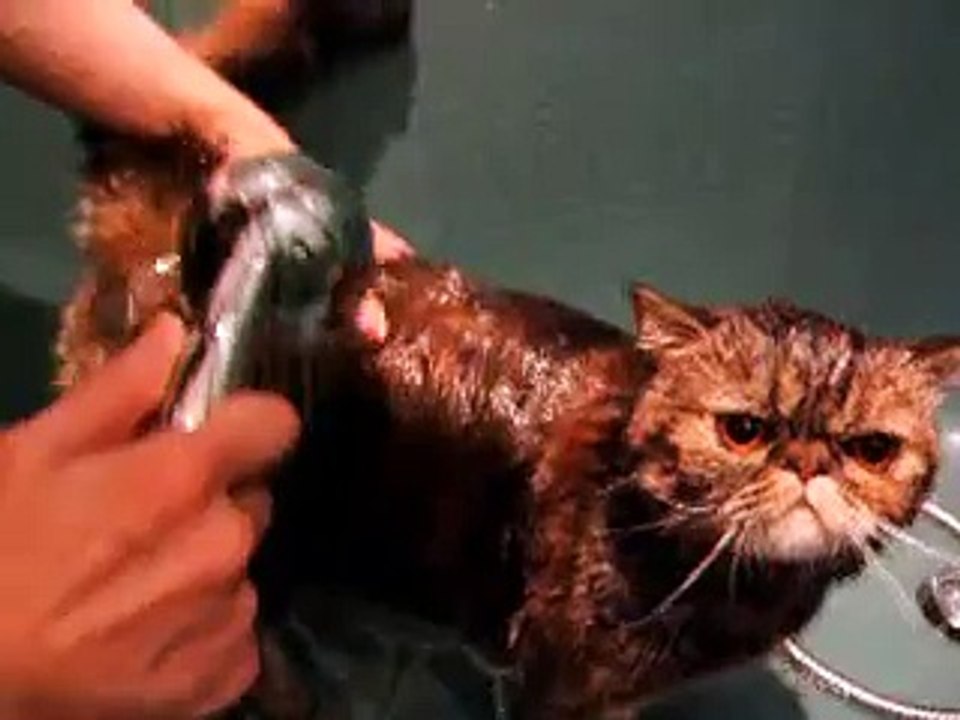Bathing (scene one)