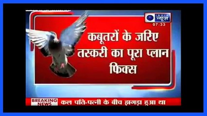 Pakistan's ISI Most Dangerous Spy Arrested by Indian RAW