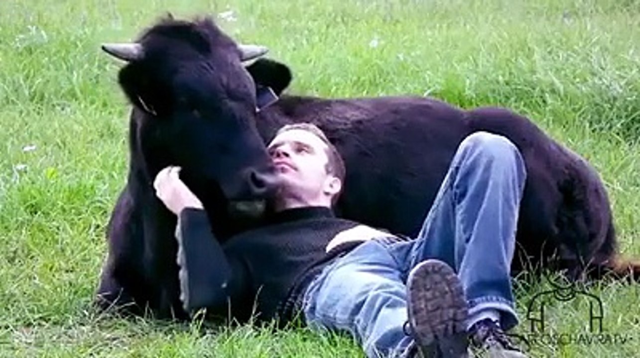 Raise Your Awarenes On the Conservation Of Our Plannet