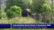 Schmalspurbahn Brad -- Criscior HD Narrow Gauge Steam  Railway Romania