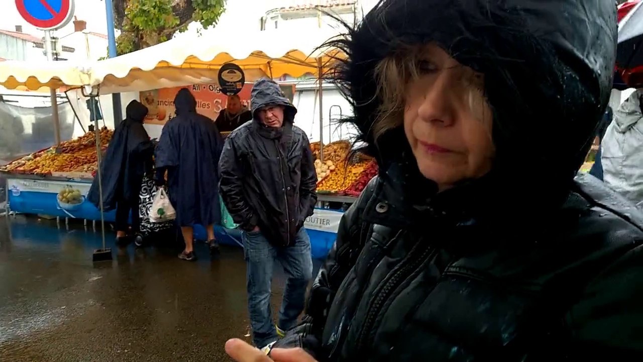 Un jour de pluie a la campagne