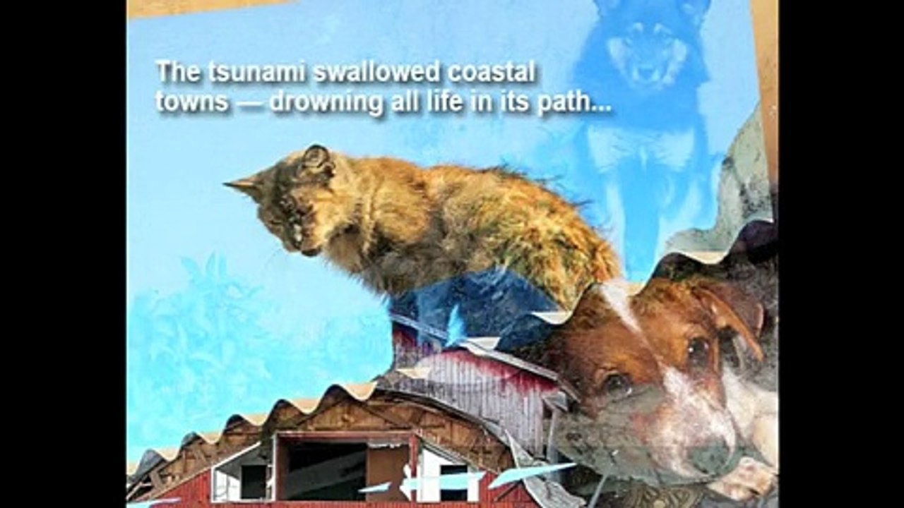 The Forgotten Disaster?