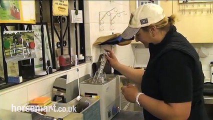 How to breed horses using artificial insemination