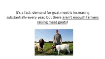 How to Profitably Raise Boer Goats