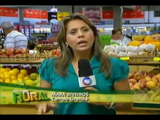 Record Rural - Pitaya: Fruta capaz de transformar glicose do organismo em energia