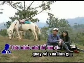 Nhat Ky Doi Toi - Hoang Lan,Truong Vu