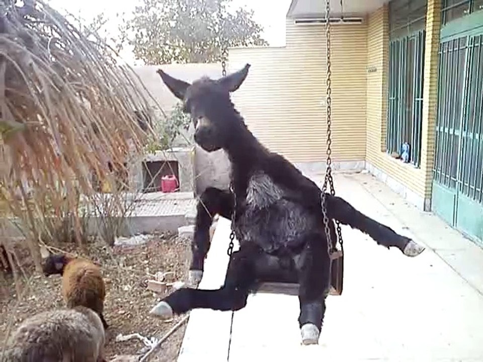 O Kisi Or Ko Bi Moqa Dy