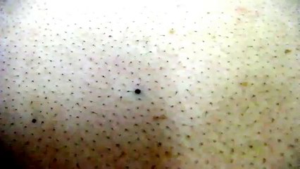 ANKARA KAYAŞ KOMBİ SERVİSİ  = = 279 15 16 ===  KART ARIZA