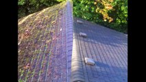 Portland, Gresham, Tigard, Gladstone, Beaverton, Milwaukie Roof Cleaning, Roof Moss Removal Services
