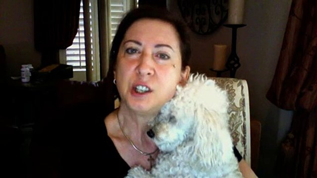 My dog has arthritis, please help me!!!! PLEASE VIEW!!