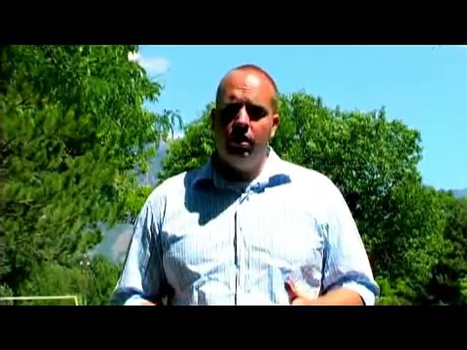 Dog Training Tips : How to Train a Dog to Use the Litter Box