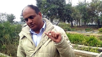 Shatavari ( Asparagus racemosus) Benefits and Uses