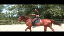 Equitazione Classica Dressage - Francesco Vedani - La messa in mano