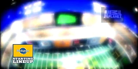 Puppy Bowl VI- Starting Lineup