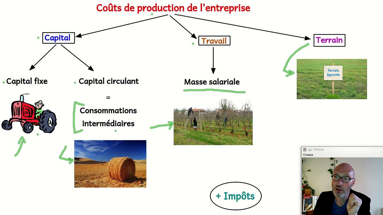 Les coûts de production de l'entreprise. Notion d'économie