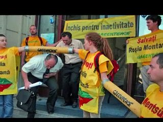 Greenpeace Tribute - Dedicated to the Heroes of Greenpeace