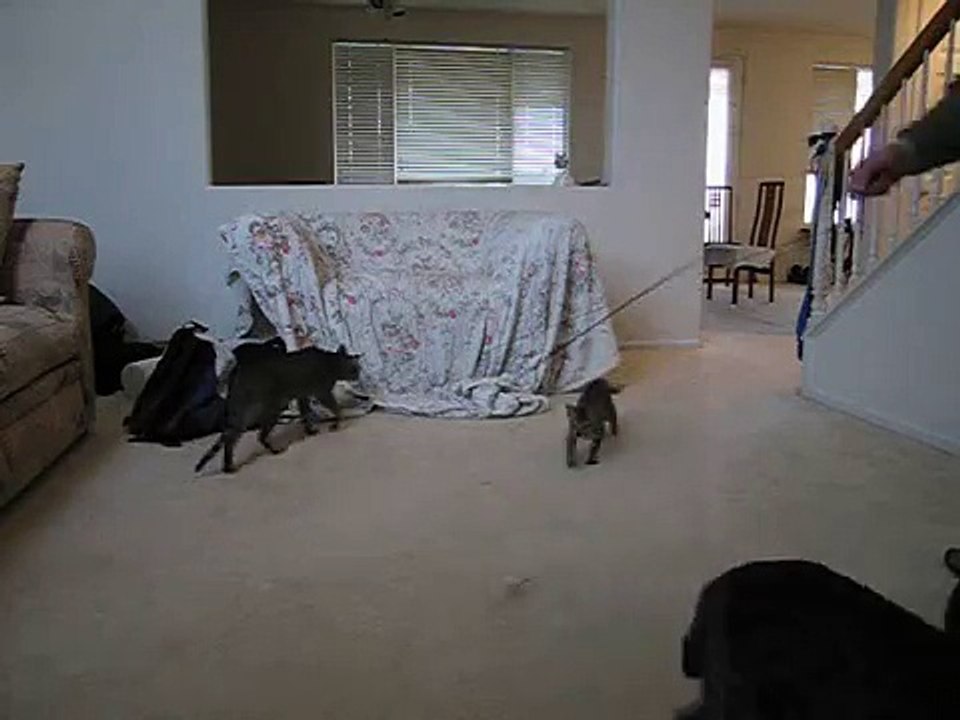Kash and Company
