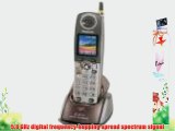 Panasonic GigaRange KX-TGA552M 5.8 GHz DSS Accessory Handset with Color LCD (Platinum)