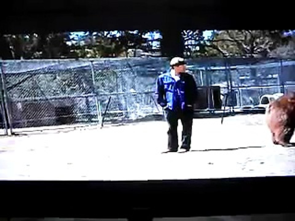 fatal bear attack