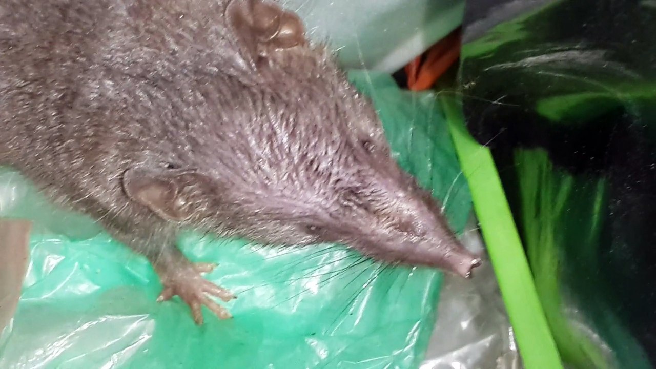 Rate in the Bin