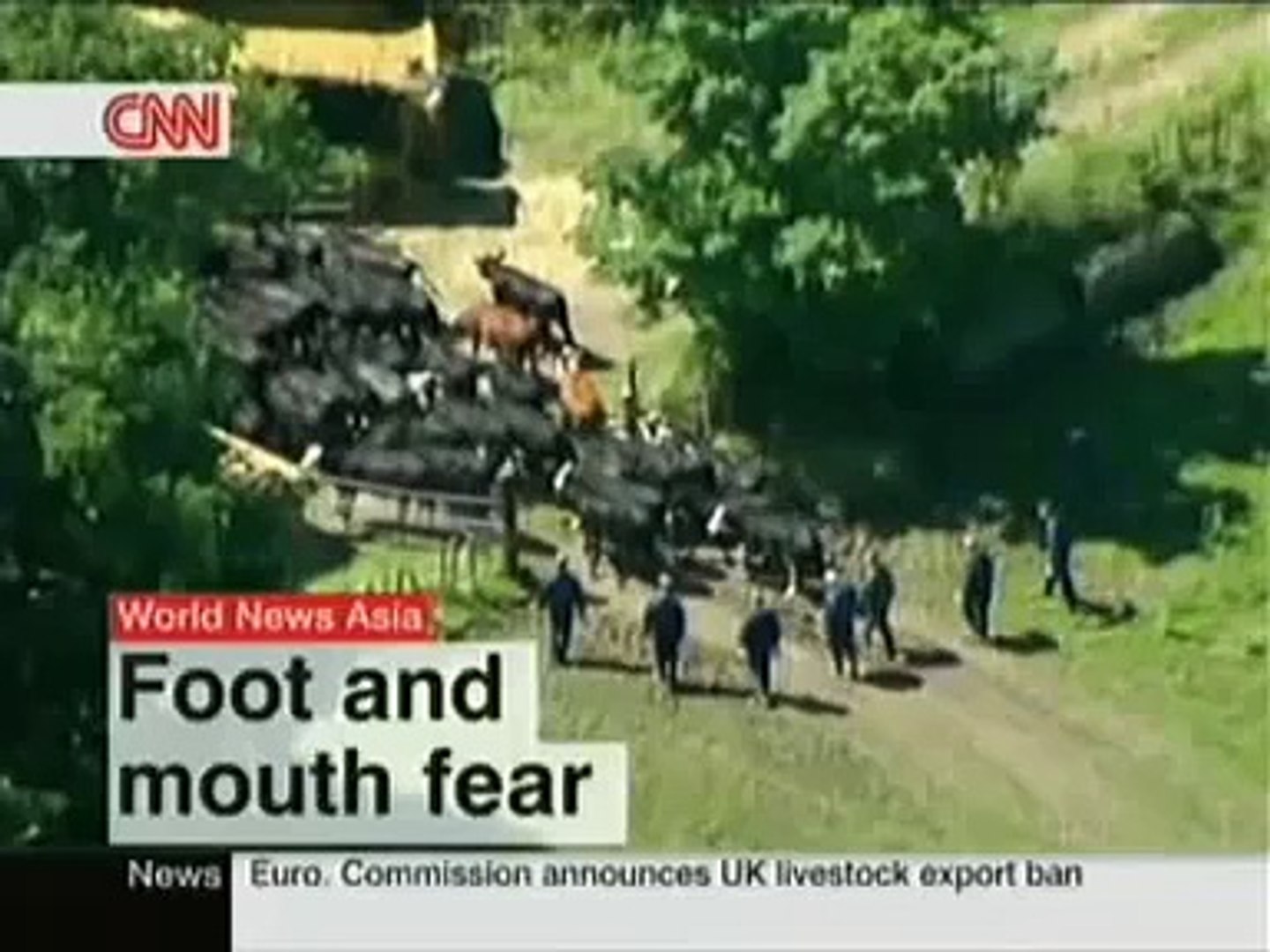 CNNi - World News Asia