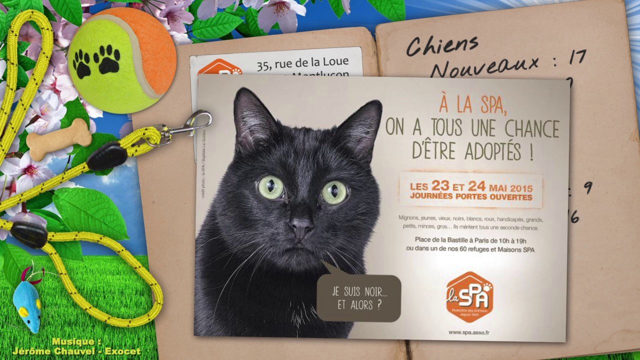 Un mois au refuge : mars 2015