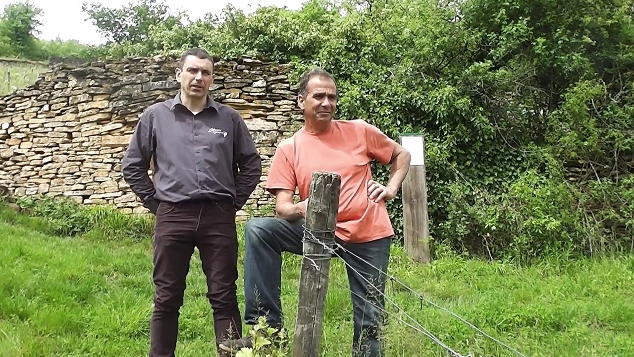 Gaec le Bouc et la Treille