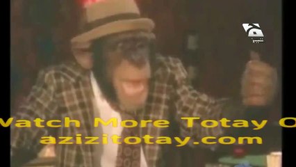 Jhootha Bander New Tezabi Totay