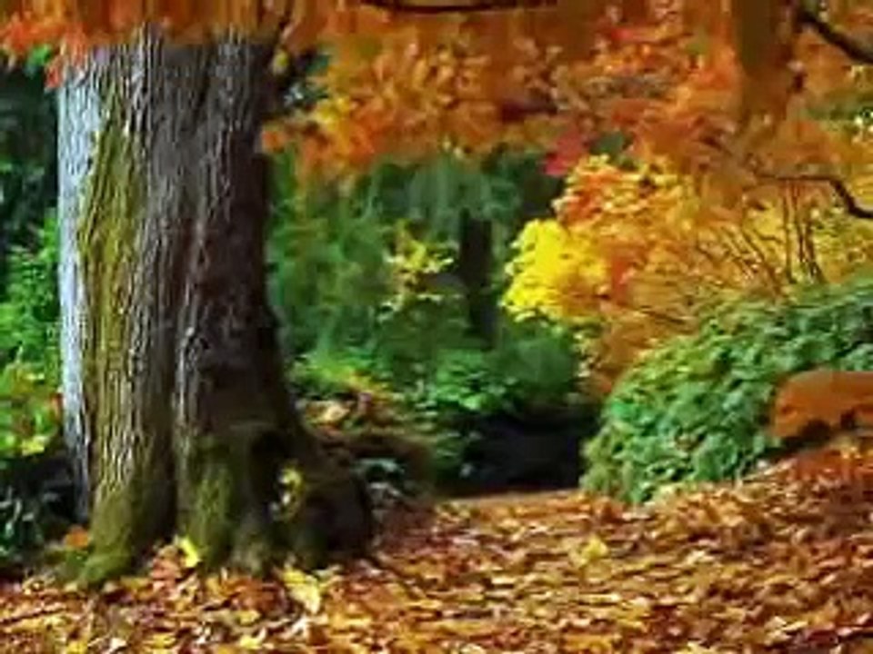 Muzica crestina - "Ma doare fiecare clipa..."