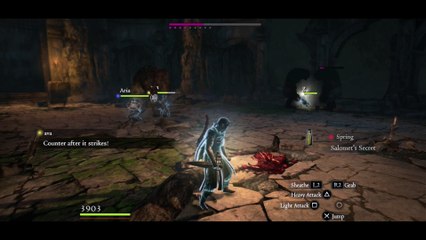 Spring Ava Aria omma dog house