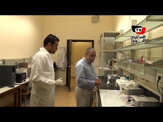 «علام»: استخدام الأفراد للطاقة الشمسية يمكن أن يوفر الكهرباء للدولة