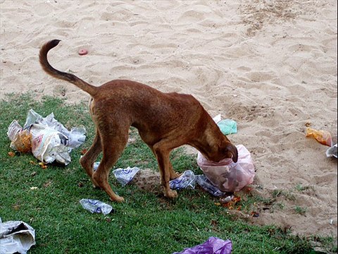 N° 2 - BITUME - Martin-xy - Chanson Française
