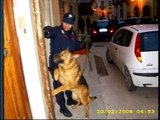 Ruoppolo Teleacras - Blitz dei Carabinieri e del cane Buck