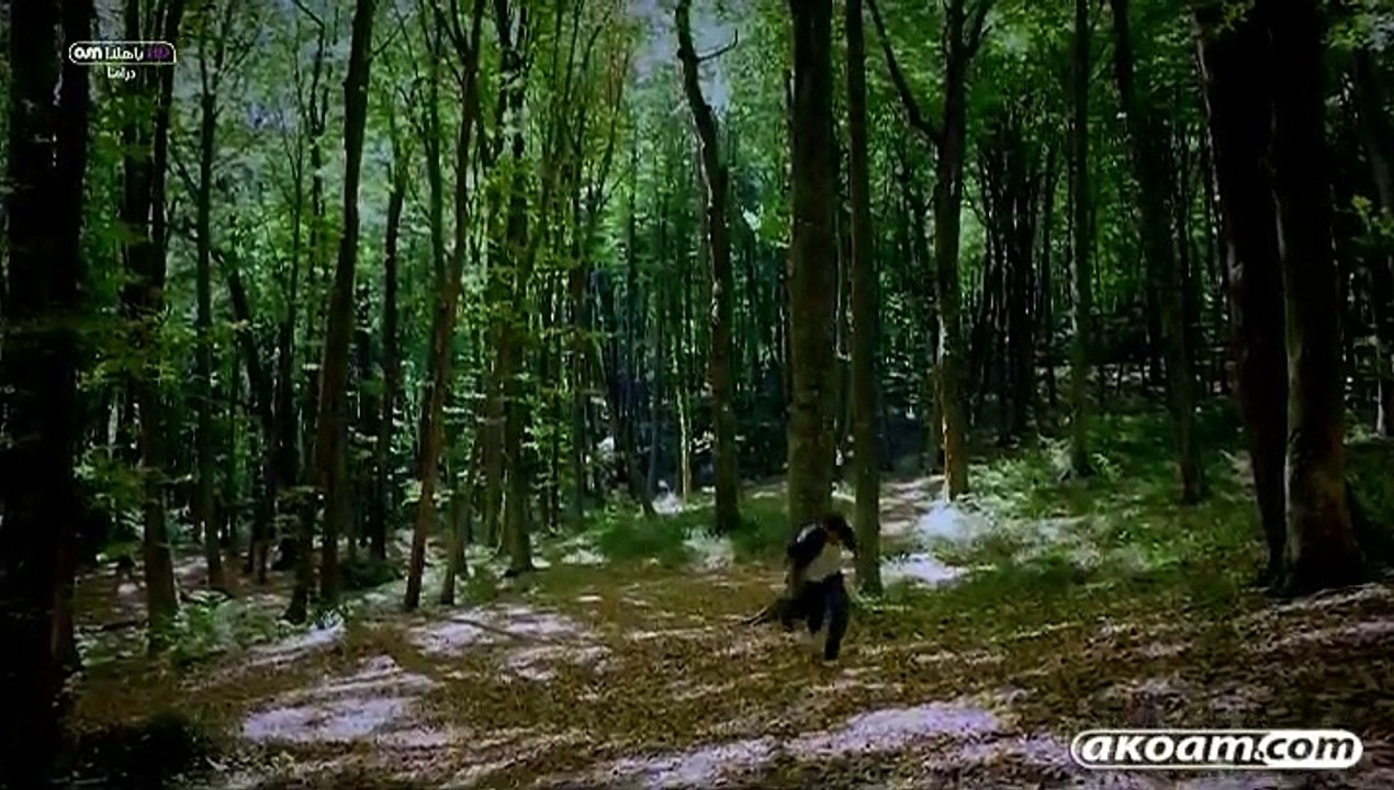 الحلقة التاسعة من الموسم الثامن من مسلسل وادي الذئاب