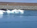 Glacial Lagoon / Jökulsárlón (Iceland)