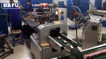 flow wrapping machine, flow wrapper,flow wrap machine, horizontal flow wrapper