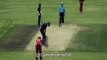 1 Ball 3 injured  ● Cricket Player Injuries