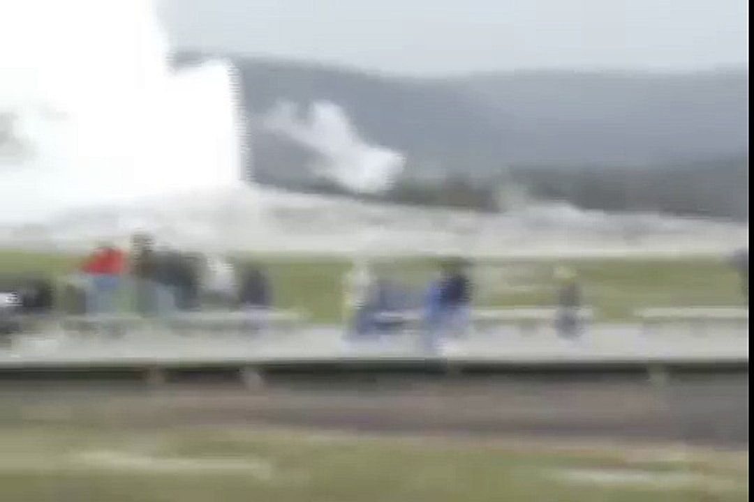 Bison attack at Old Faithful, Yellowstone National Park