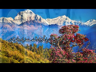 Benifesha Kay Azeem Fawaid Dr.na Mazhar (Dr of alternative medicine)